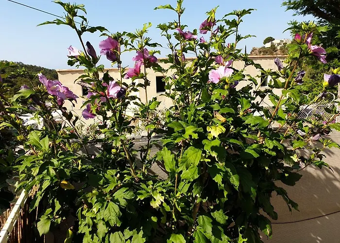 Les Restanques Du Sud 2 Apartment *