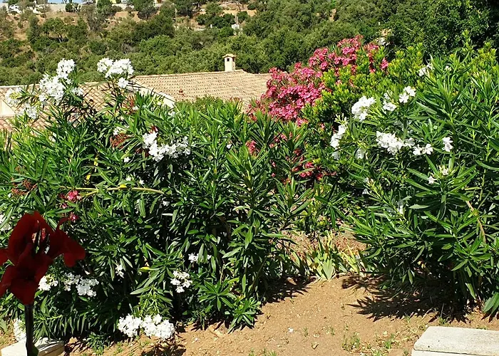 Διαμέρισμα Les Restanques Du Sud 2 Le Lavandou
